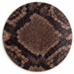 Python - Schubben - Brons Wandcirkel kunststof plaat 5mm dik klein -3d