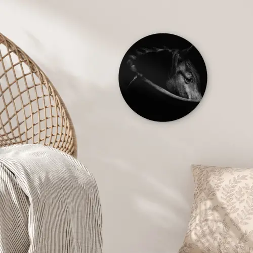 Paarden - Portret - Zwart - Dieren Wandcirkel kunststof plaat 5mm dik klein -sfeer5