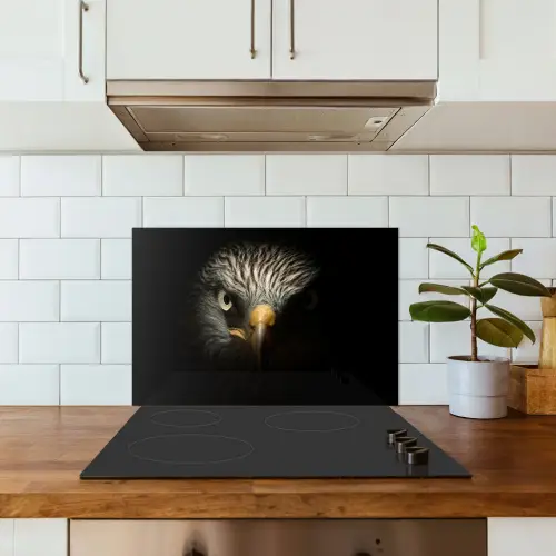 Vogel - Adelaar - Roofvogels - Oog - Snavel - Licht keuken achterwand spatscherm klein -sfeer2