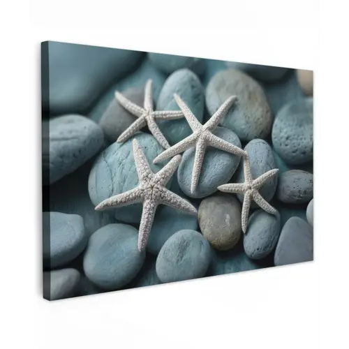 Zeesterren - Stenen - Wit canvas 2cm klein -z3d