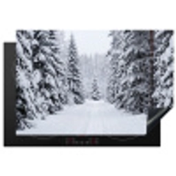 Bos - Winter - Sneeuw - Pad - Natuur Inductie beschermer vinyl 3mm klein -3d