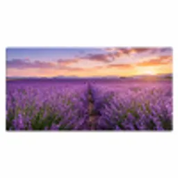 Lavendel - Veld - Natuur - Paars Muismat XXL klein -3d_leeg