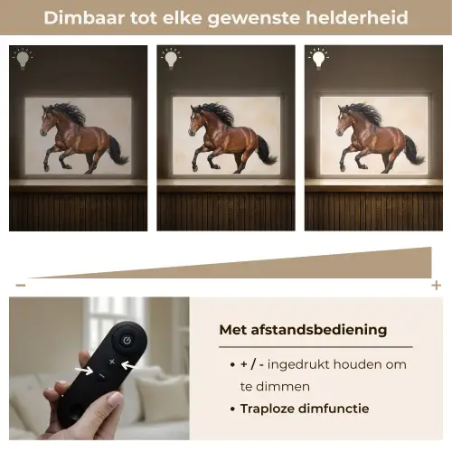 Paard - Galop - Energie Light Box met batterij (Wandlamp) middel -USP_dimbaarNL