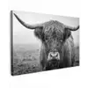 Schotse hooglander - Zwart - Wit - Gras canvas 2cm klein -z3d