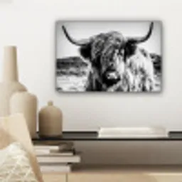 Schotse hooglander - Natuur - Koe - Zwart - Wit canvas 2cm klein -sfeer6