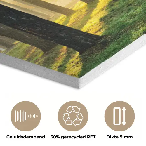 Bos - Zon - Bomen - Gras - Landschap  - Natuur PET vilt klein -closeup_NL