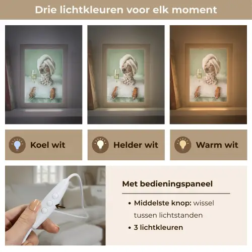 Hond - Bad - Champagne - Handdoek Light Box met kabel (Tafellamp) klein -USP_lichtkleurNL