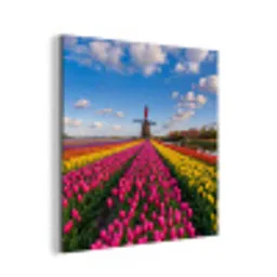 Tulpen - Holland - Molen - Kleurrijk aluminium wit klein -3d