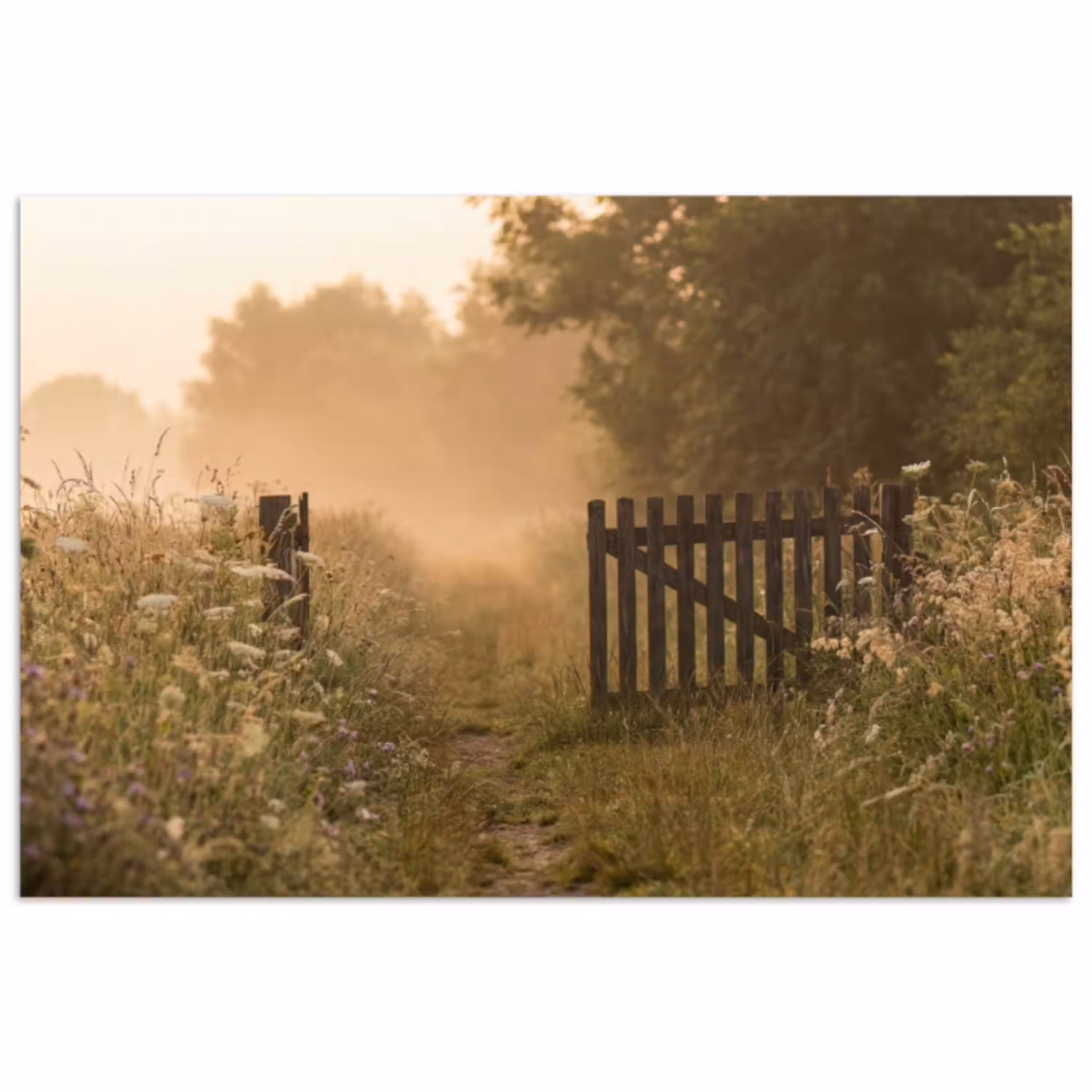 Hek - Natuur - Mist - Veld poster papier klein -3d