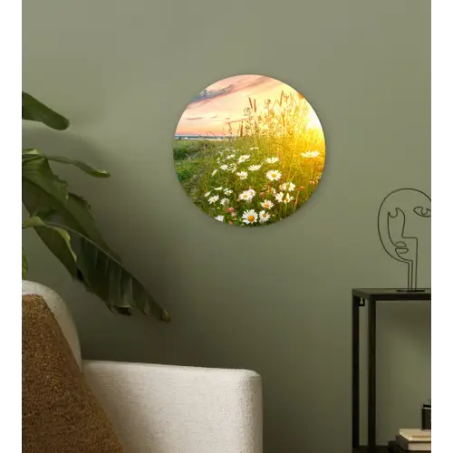 Bloemen - Madelief - Natuur - Zon - Horizon Wandcirkel kunststof plaat 5mm dik klein -sfeer3