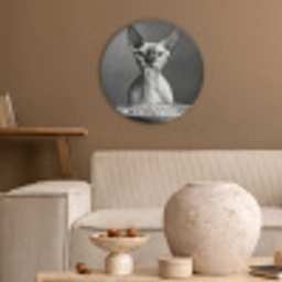 Sphynx - Kat - Dieren - Humor - Spaghetti - Zwart Wit Akoestische PET Vilt - Rond klein -sfeer1