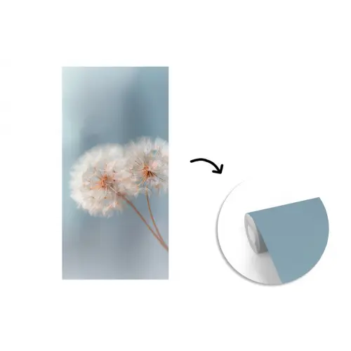Paardenbloemen - Pluisjes - Wit fotobehang vinyl groot -3d