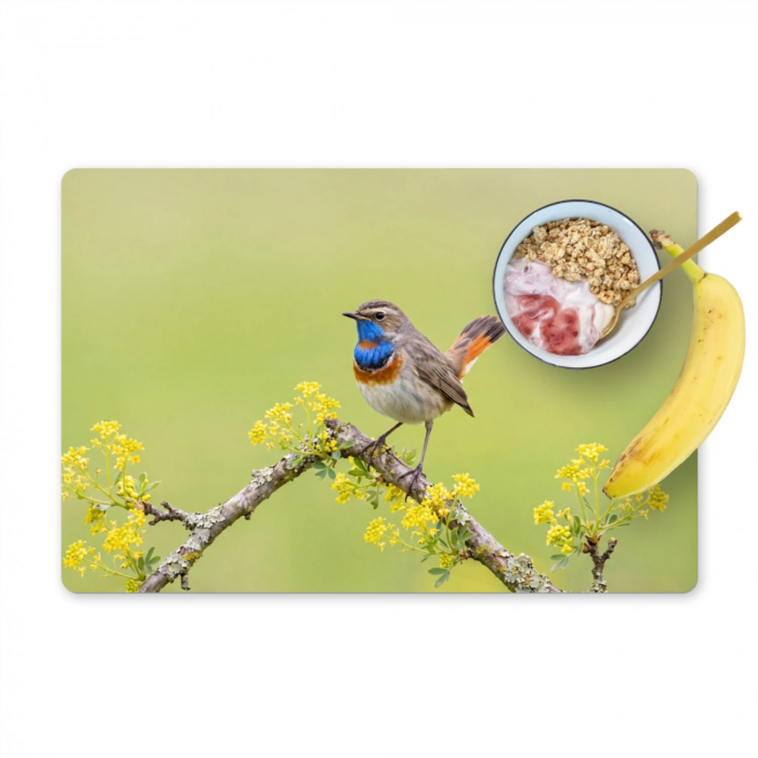 Vogel - Tak - Natuur - Kleurrijk Placemat vinyl groot -zzzproduct_Kitchenyeah-website