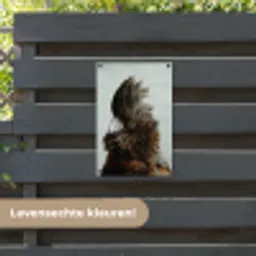 Kaketoe - Vogel - Brons tuinposter los doek klein -sfeer3