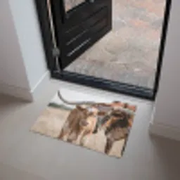 Texas Longhorn - Kalf - Weide - Dieren Deurmat klein -sfeer5