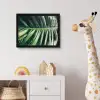 Inductie beschermer - Bananenblad - Tropisch - Jungle - Bladeren fotolijst zwart zonder passe partout klein -usfeer4_kinderkamer