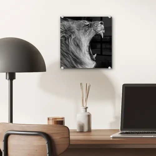 Dieren - Leeuw - Zwart - Wit - Portret plexiglas 5mm klein -sfeer6