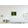 Jungle - Stenen - Water - Natuur - Planten textielposter latten blank klein -kinderkamer