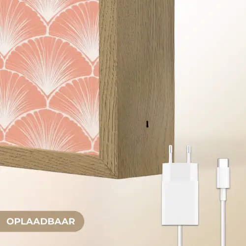 Waaier - Motief - Zalmroze Light Box met batterij (Wandlamp) middel 907 -USP_websiteoplaadbaarNL