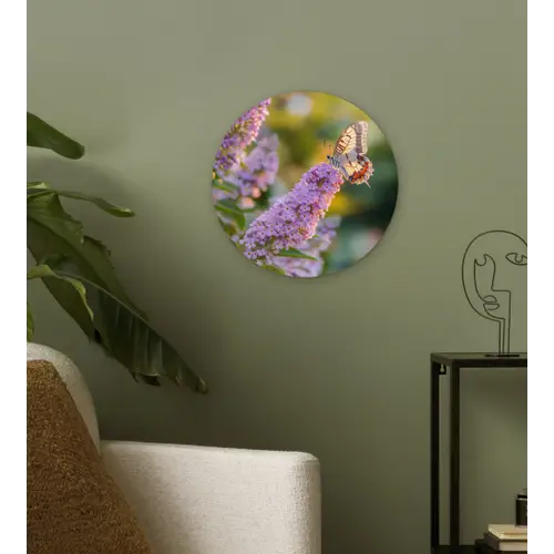 Sierlijke - Vlinder - Paarse - Bloemen Wandcirkel kunststof plaat 5mm dik klein -sfeer3