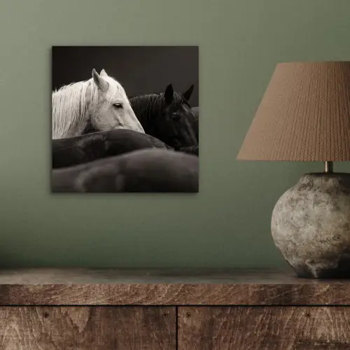 Paarden - Zwart - Wit - Kudde aluminium wit klein -sfeer2