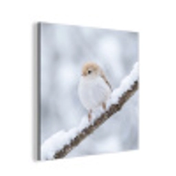 Vogeltje - Sneeuw - Tak - Winter - Zacht aluminium wit klein -3d