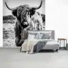 Schotse hooglander - Natuur - Koe - Zwart - Wit fotobehang vinyl groot -slaapkamer