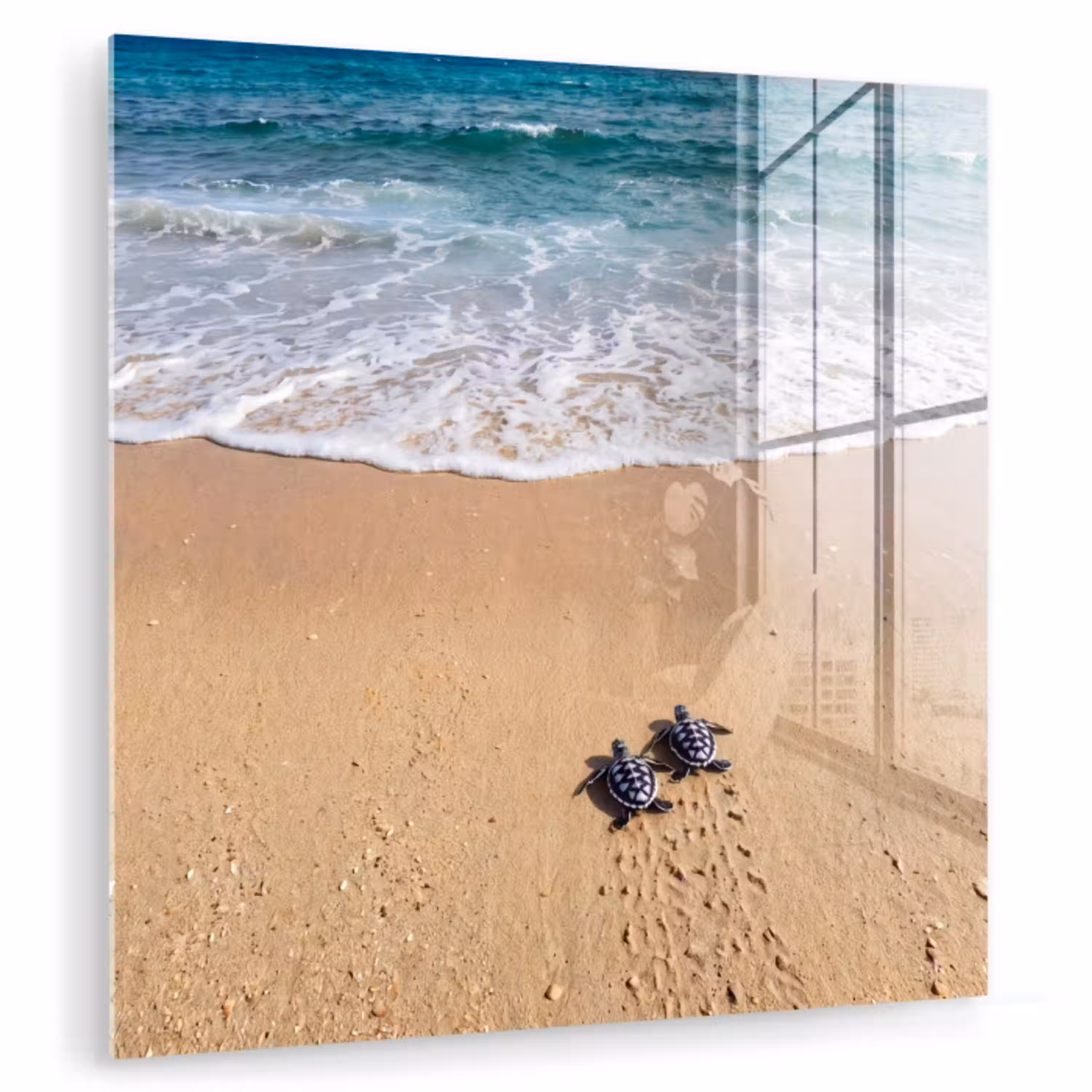 Schildpad - Jong - Strand - Oceaan - Blauw plexiglas 5mm klein -zzzproduct_nieuw