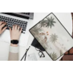 Kraanvogels - Palmbomen - Tropisch laptophoes neopreen klein -bureau