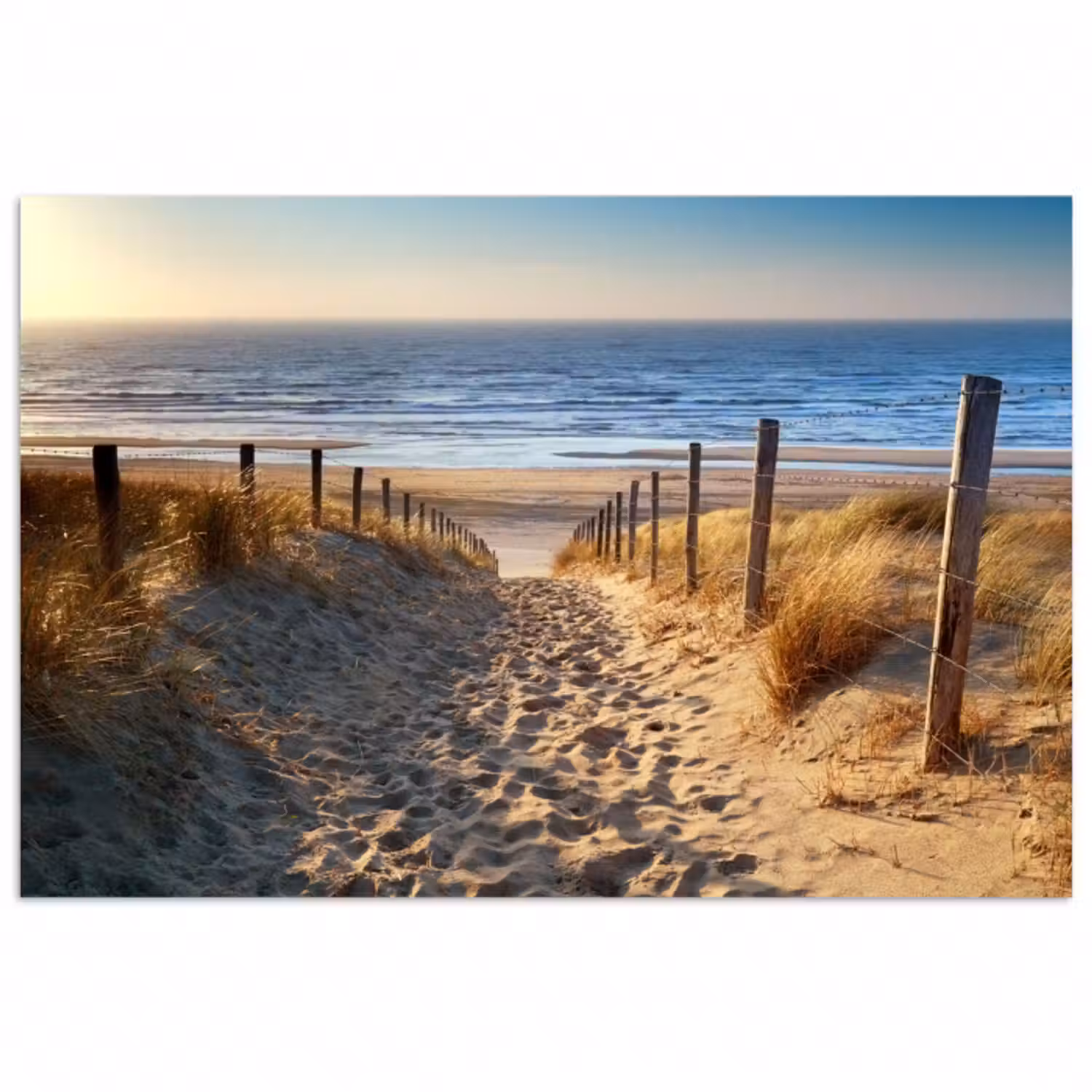 Poster - Strand - Meer - Niederlande - Dünen - Sonne