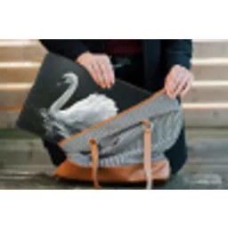 Zwaan - Water - Natuur - Realistisch - Wit laptophoes neopreen klein -tas