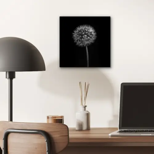 Paardenbloem - Zwart - Bloemen - Botanisch aluminium wit klein -sfeer5