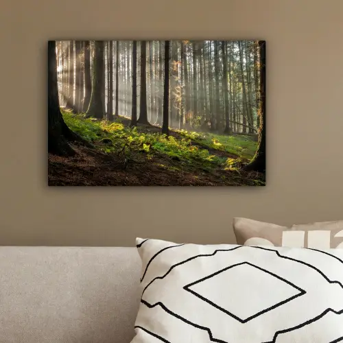 Zon - Takken - Bomen - Bos - Natuur canvas 2cm klein -sfeer3