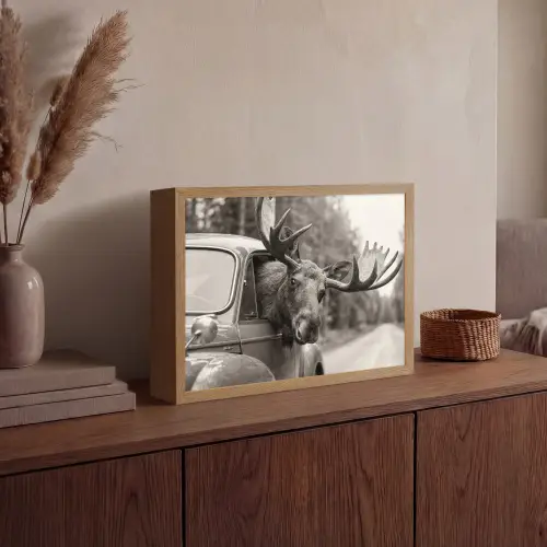 Eland - Auto - Gewei - Zwart - Wit Light Box met batterij (Wandlamp) middel -sfeer2