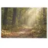 Zonlicht - Bospad - Bomen Deurmat klein -zkaufland3d