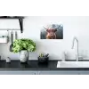 Schotse hooglander - Koe - Dieren - Berg - Natuur Muursticker klein -keuken