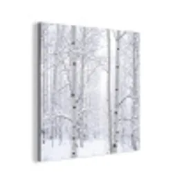 Berkenbomen - Sneeuw - Winter - Bos - Wit aluminium wit klein -3d
