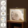 Schelp - Detail - Beige Light Box met batterij (Wandlamp) middel -USP_websiteoverzichtNL