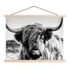 Koe - Schotse hooglander - Zwart - Wit - Dier - Natuur - Wild textielposter latten blank klein -3d
