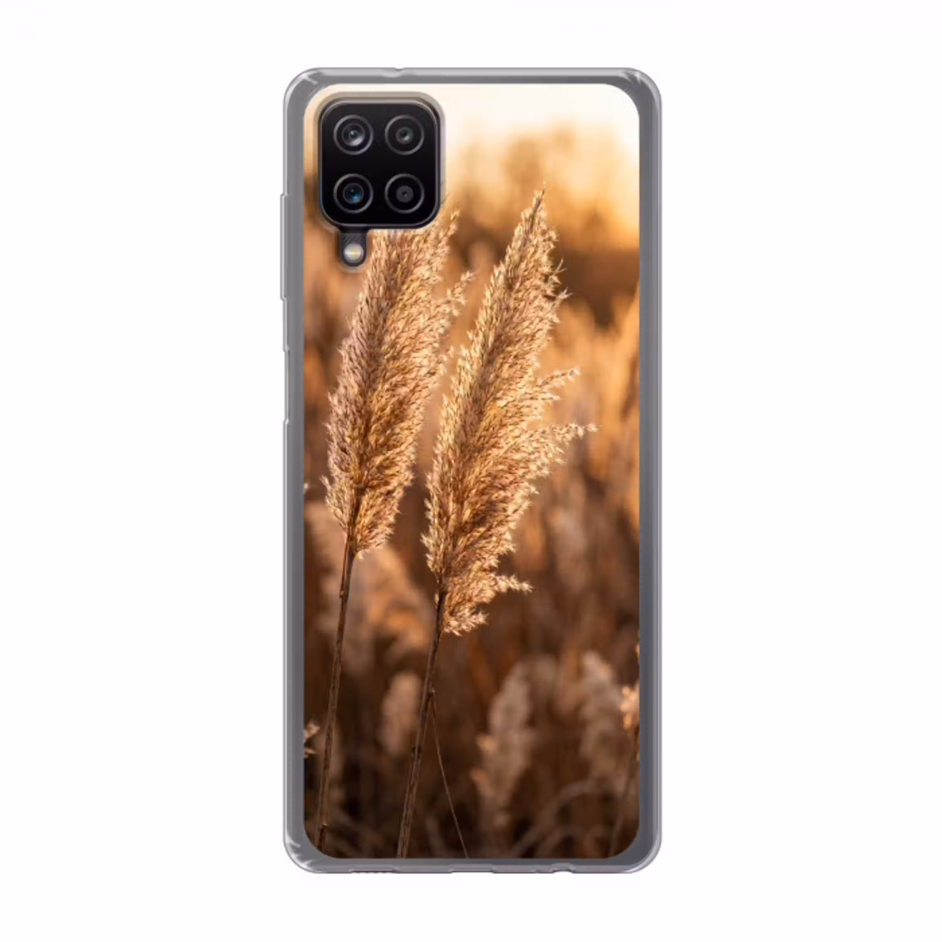 Rietpluimen - Gras - Zonsondergang - Goud - Serene Telefoonhoesje Samsung Galaxy A12 klein -3d