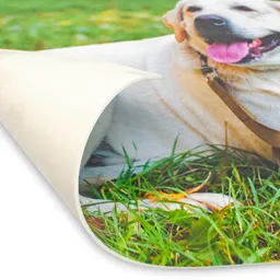 placemat-close-up.png