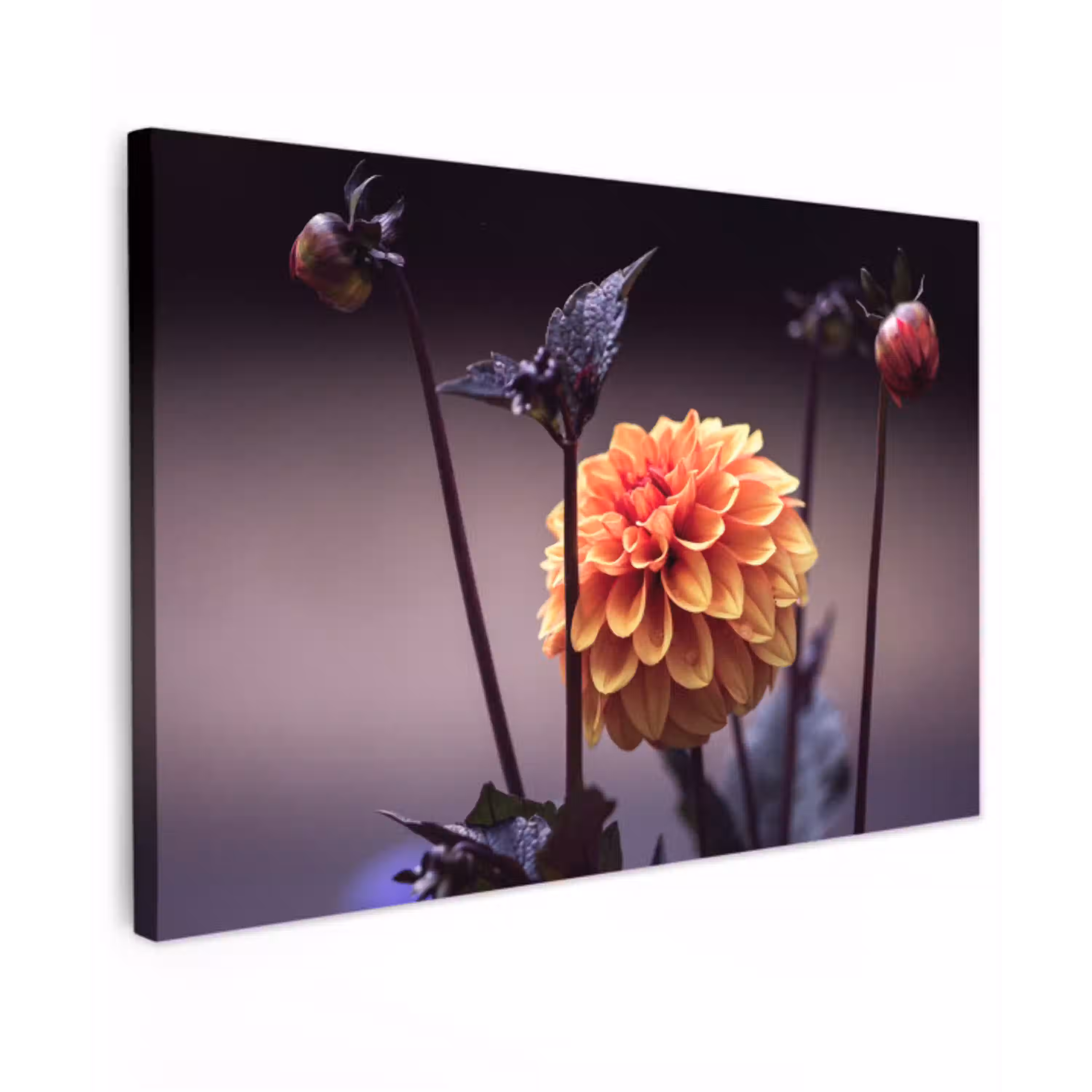 Bloemen - Chrysant - Macro - Planten Tuinposter op houten frame 2 cm dik klein -3d