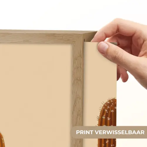 Cactus - Woestijn - Zand - Bruin Light Box met batterij (Wandlamp) middel -USP_websiteprintNL