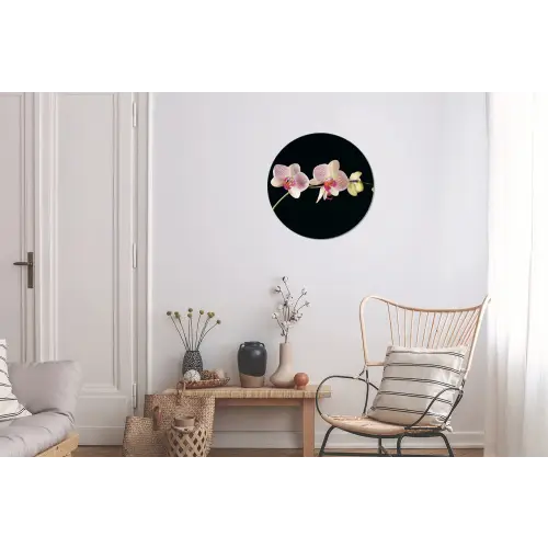 Orchidee - Bloemen - Zwart - Roze - Knoppen Wandcirkel aluminium klein -woonkamer