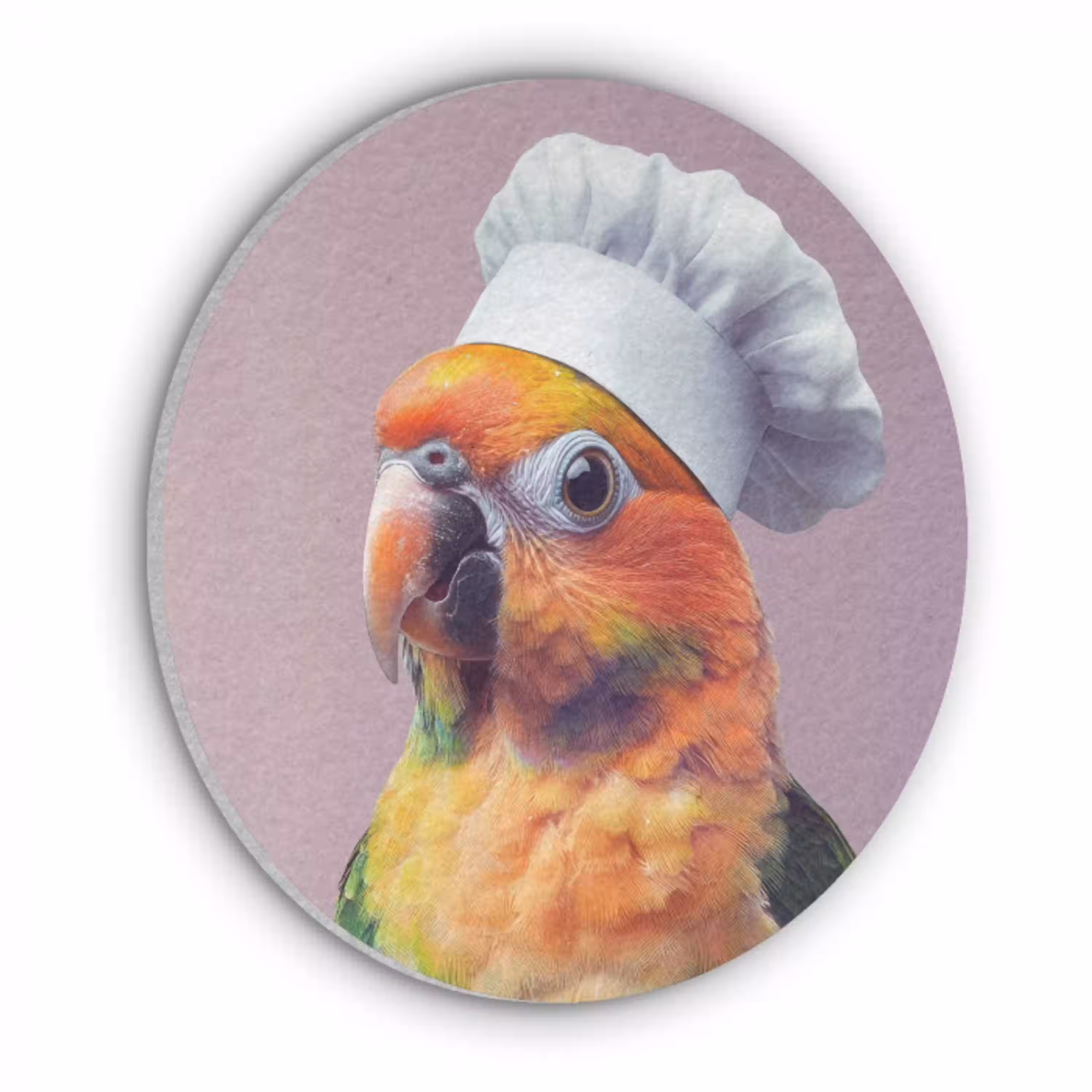 Papegaai - Koksmuts - Nieuwsgierig - Vogel Akoestische PET Vilt - Rond klein -3d