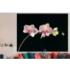 Orchidee - Bloemen - Zwart - Roze - Knoppen forex 5mm xxl -woonkamer