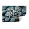 Zeesterren - Stenen - Wit Muursticker klein -3d