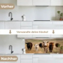 Runderen - Kudde - Landschap - Weide - Rustig keuken achterwand 2 middel -voor-na_DE