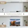 Schotse Hooglander - Berg - Water - Natuur - Koe keuken achterwand spatscherm klein -voor_na_NL