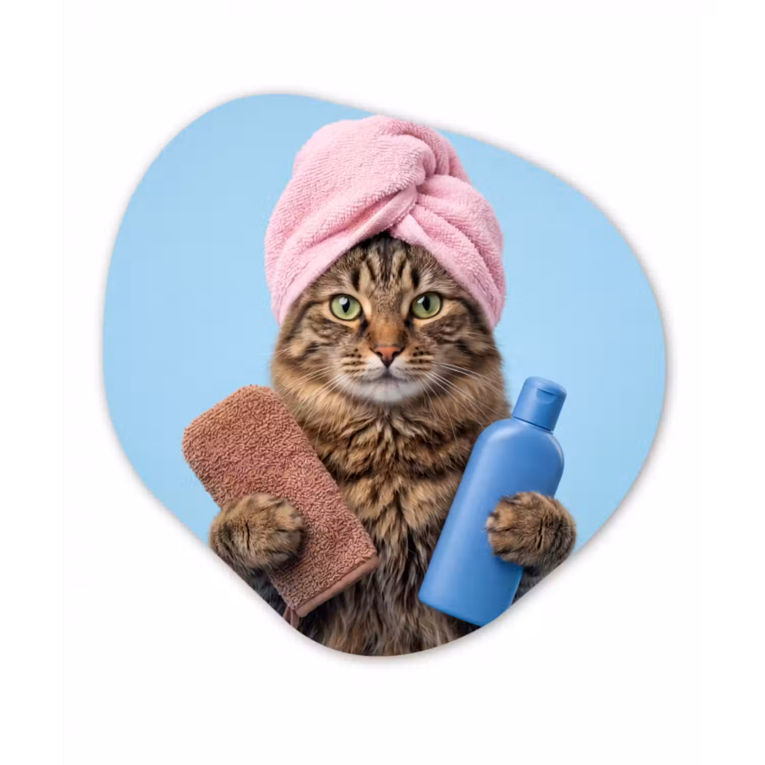 Alu-Dibond-Bild Organische Form - Katze - Handtuch - Waschlappen - Seife